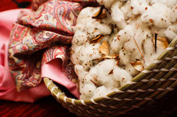 basket cotton.jpg